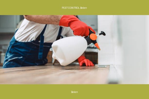 PEST CONTROL Belen
